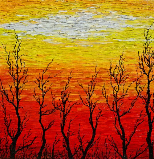 Sunny trees by Daniel Urbaník