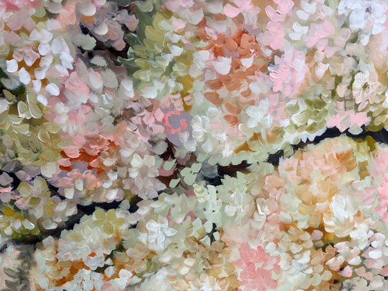 Blossoms