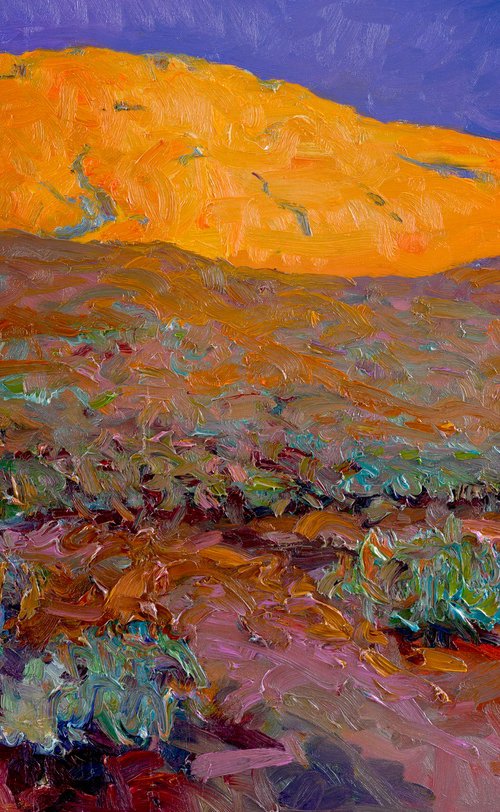 Sunset in the Desert. Arizona by Suren Nersisyan