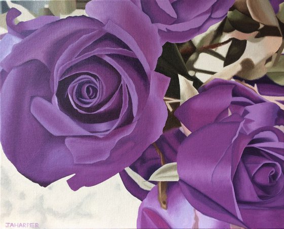 Purple Roses