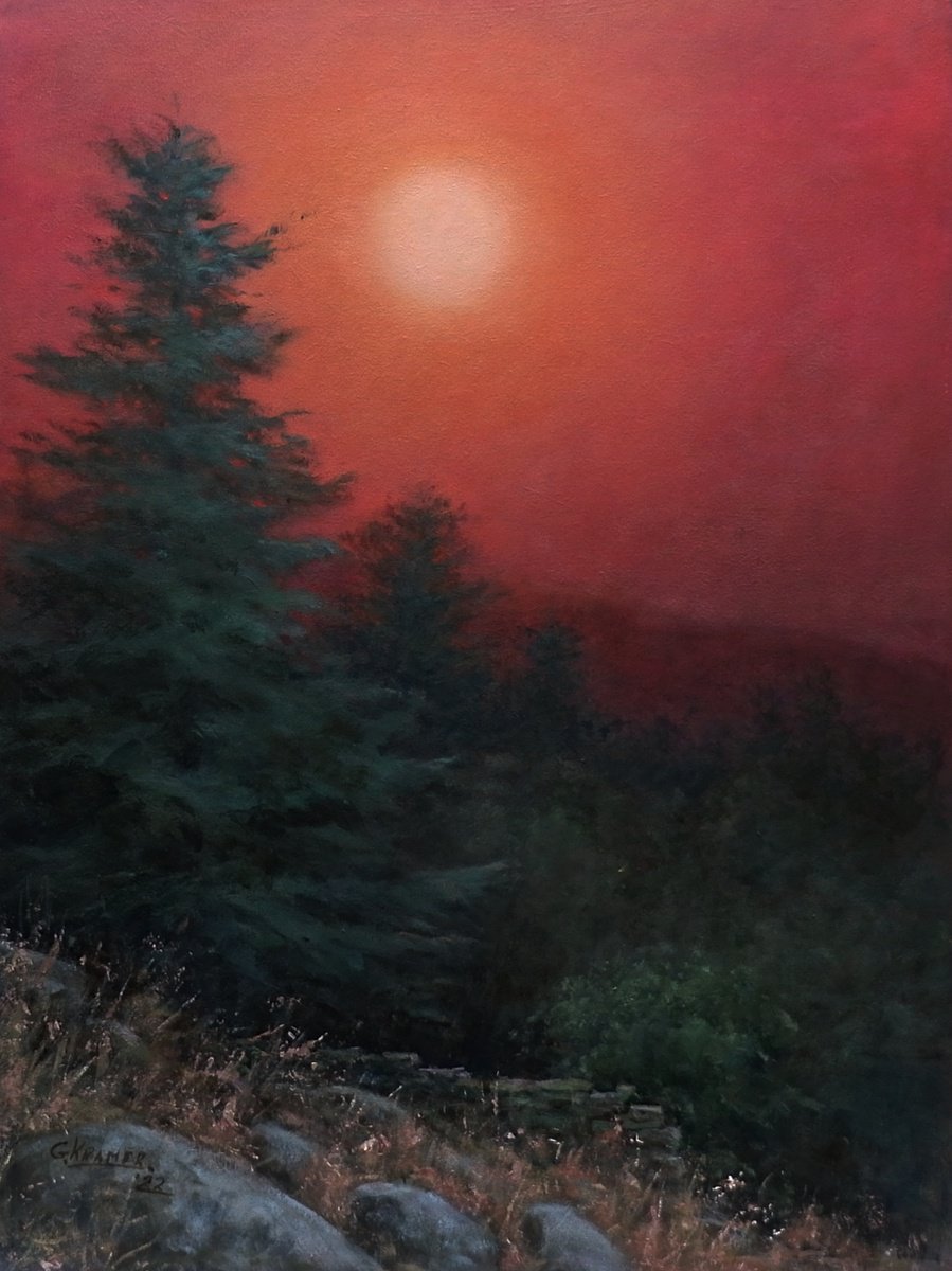 Last Light in the woods by Gerard Kramer