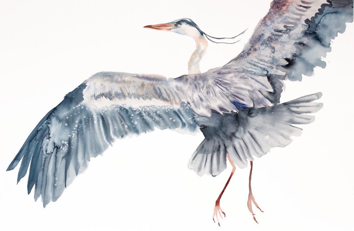 Expressive Animal Watercolour By Elizabeth Becker, 40 X 26, Heron In Flight No. 2, Original Artwork