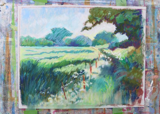 Country Lane in Spring