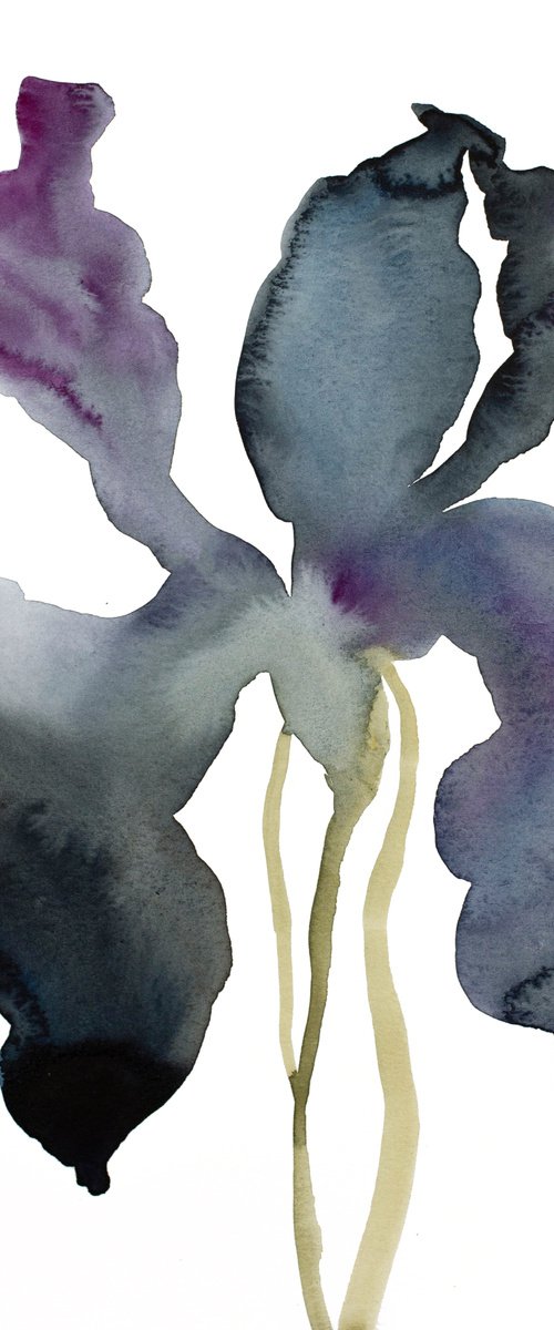 Iris No. 137 by Elizabeth Becker