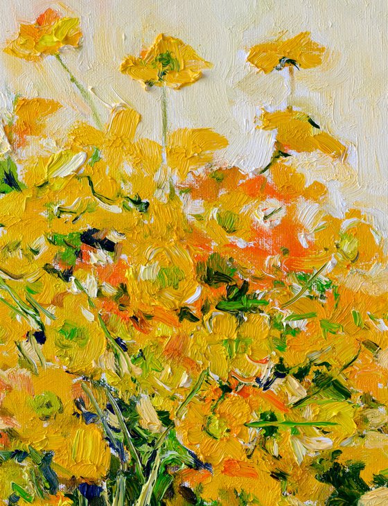 Wild Buttercups