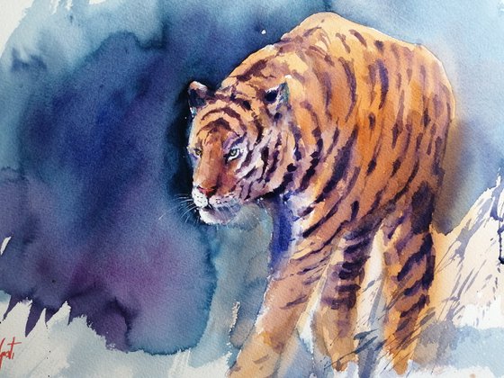 tiger 8