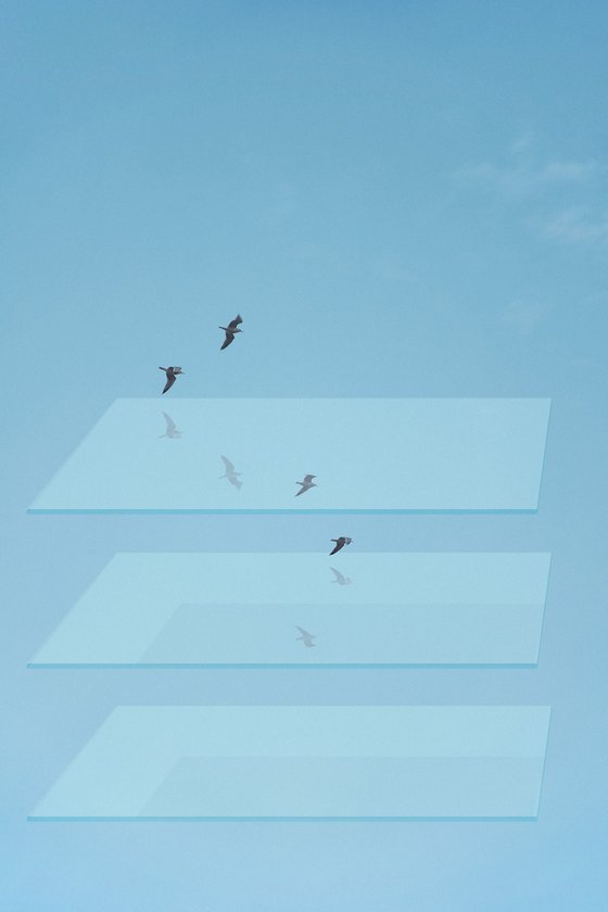 Clarity
