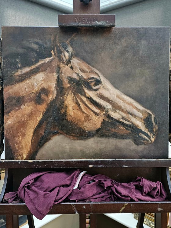 In Motion-Original Horse Portrait