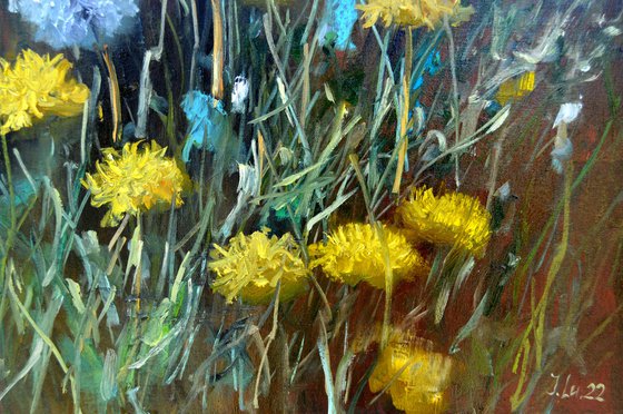 Fragment of a lawn of dandelions