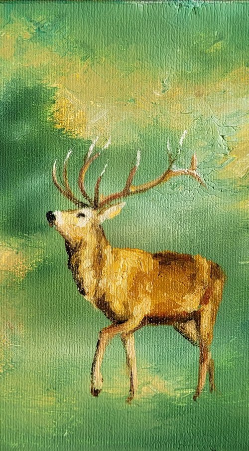 Deer in the forest by Lisa Braun