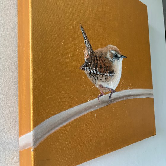 Jenny Wren