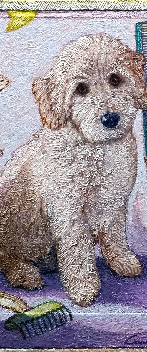 AT THE GROOMER by Carlo Salomoni