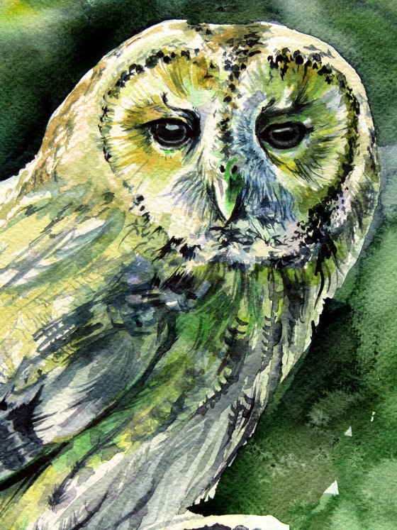 Majestic owl