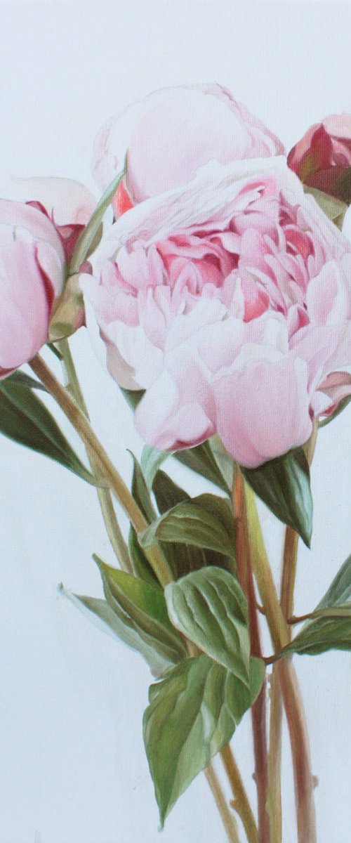 Small bouquet of pink peonies by Julia Diven