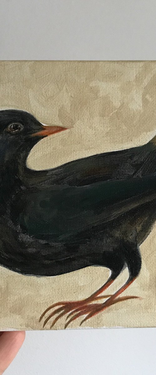 Blackbird by Victoria Lucy Williams