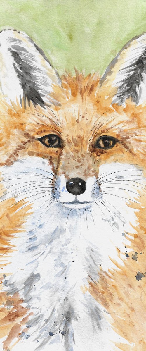 Red Fox by MARJANSART