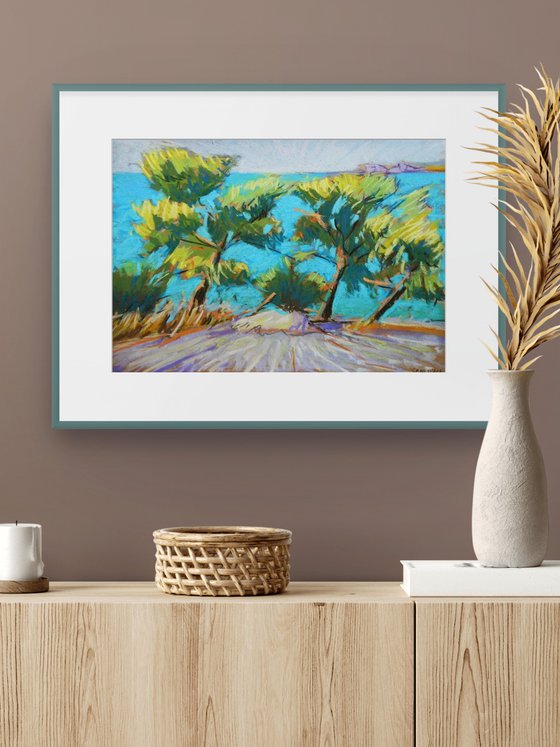 Mediterranean afternoon. Pines