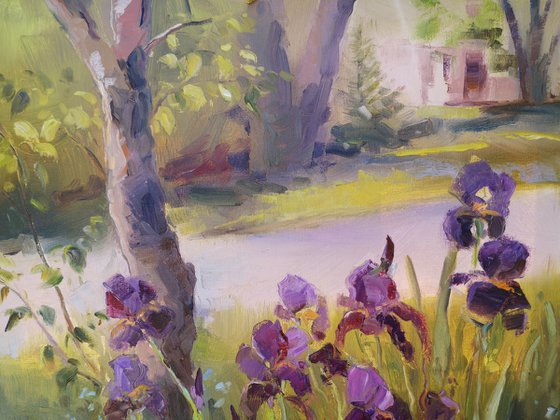 Irises (plein air), original, one of a kind, oil on canvas impressionistic style painting (18x24")