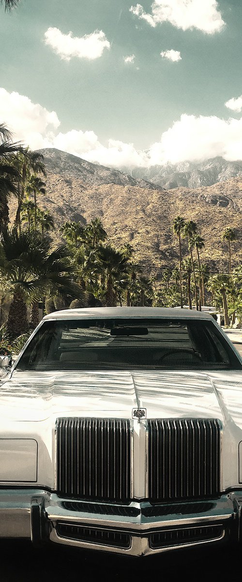 Twin Palms #1 by Heike Bohnstengel