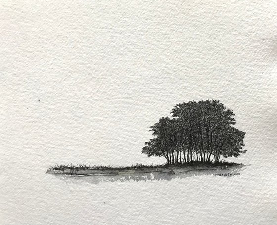 Winter Trees in Pen and Ink - Norfolk Landscape