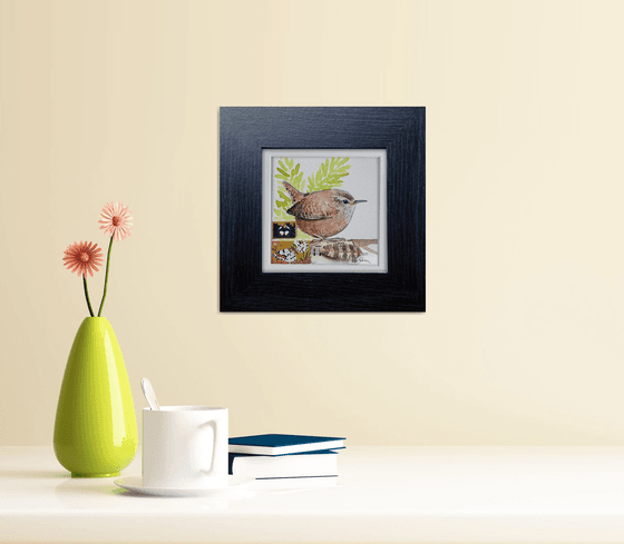 Jenny Wrens' feather  (framed and ready to hang)