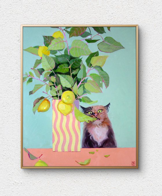 A cat named lemon