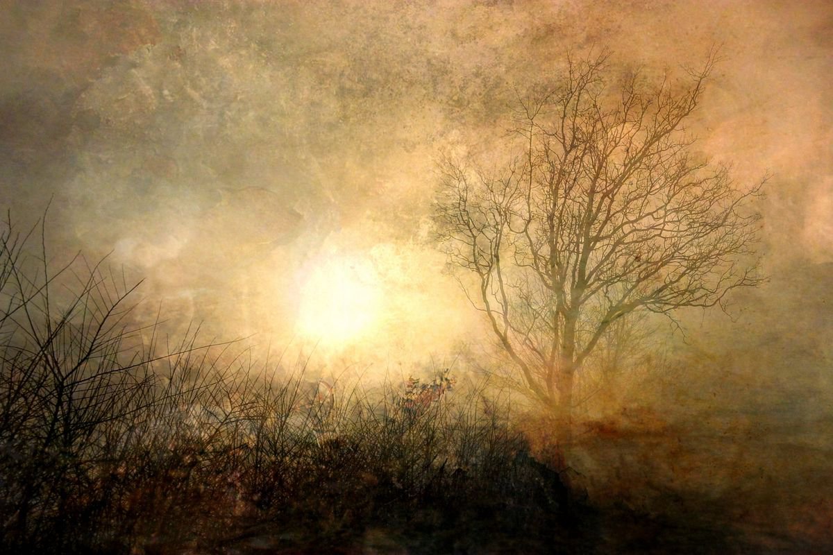 Autumn Sunrise - Inspired by Turner by Sandra Roeken