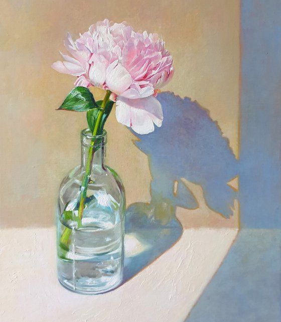 "Morning peony." still life peony pink summer  white liGHt original painting  GIFT (2020)