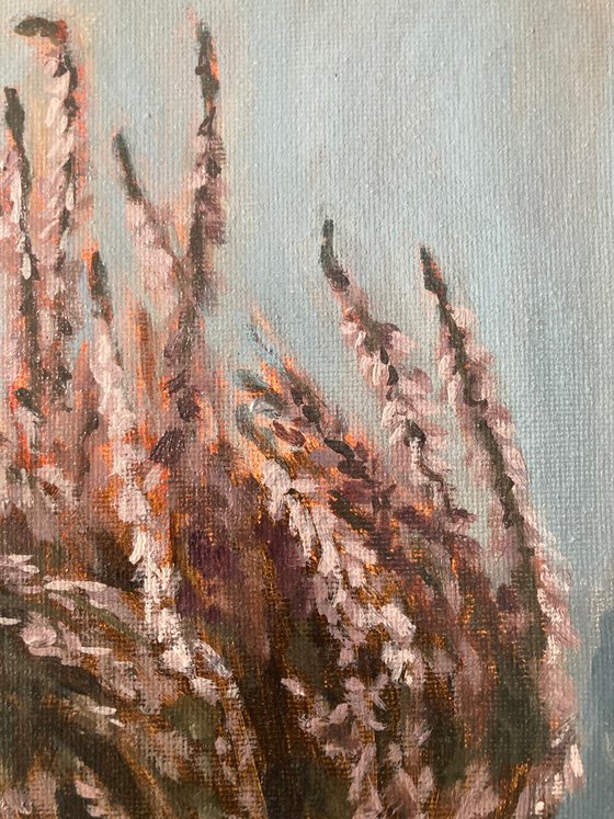Tamed Wilderness