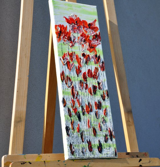 Poppy Flowers