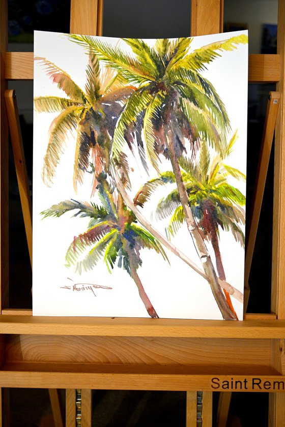 Coconut Palm Trees from Tropical Beach