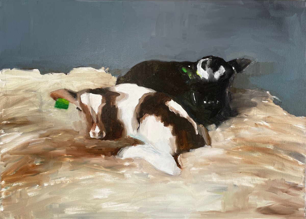 two calves by Elina Evstig