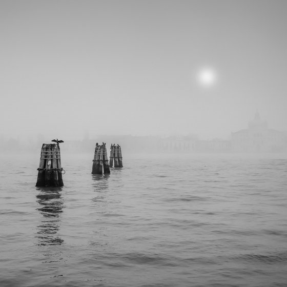 Silent Mornings in Venice