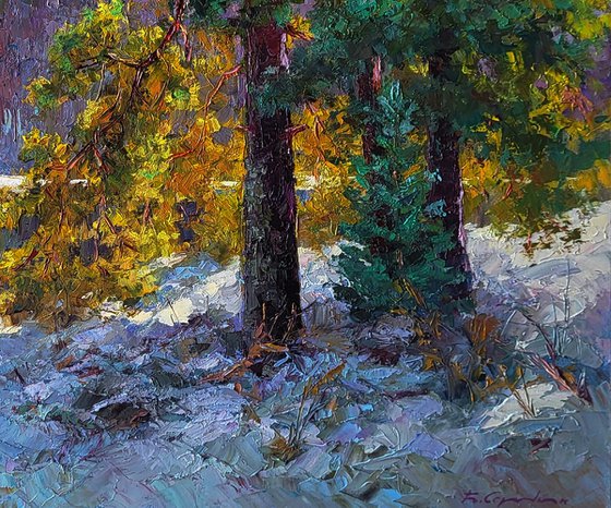 It Snowed in the Mountains