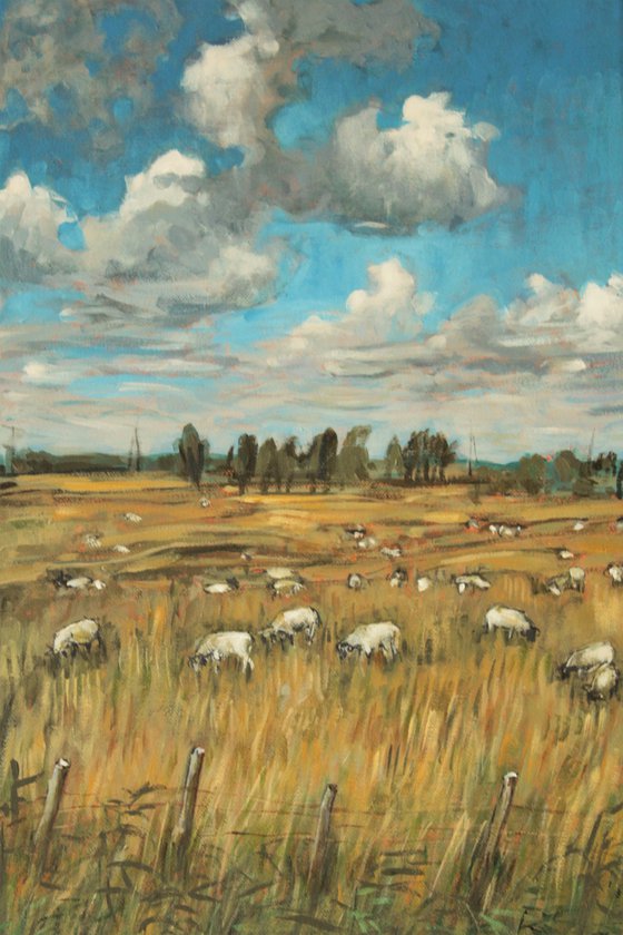 Pastureland with sheep