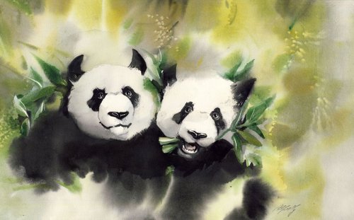Panda in love by Alfred  Ng