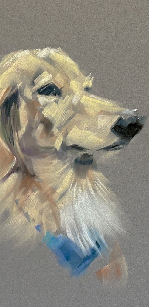 peaceful guardian by Deke Wightman