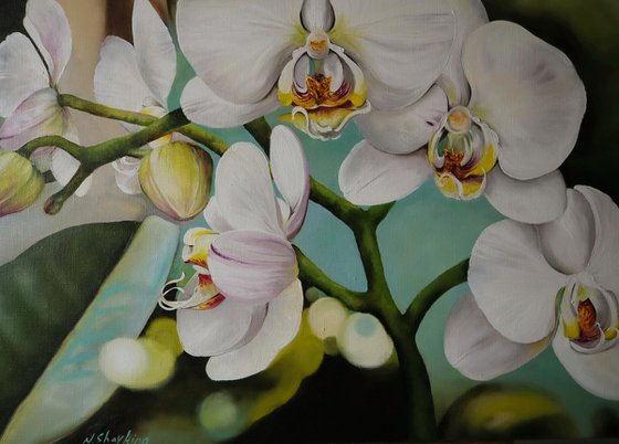 White Orchid Large Painting