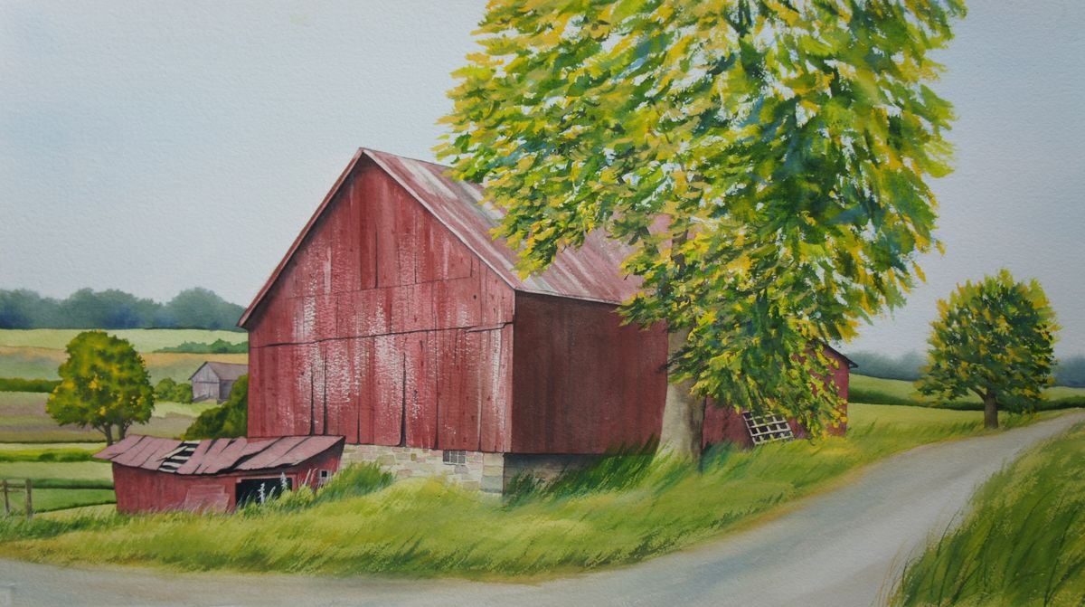 Amish barn by Silvie Wright