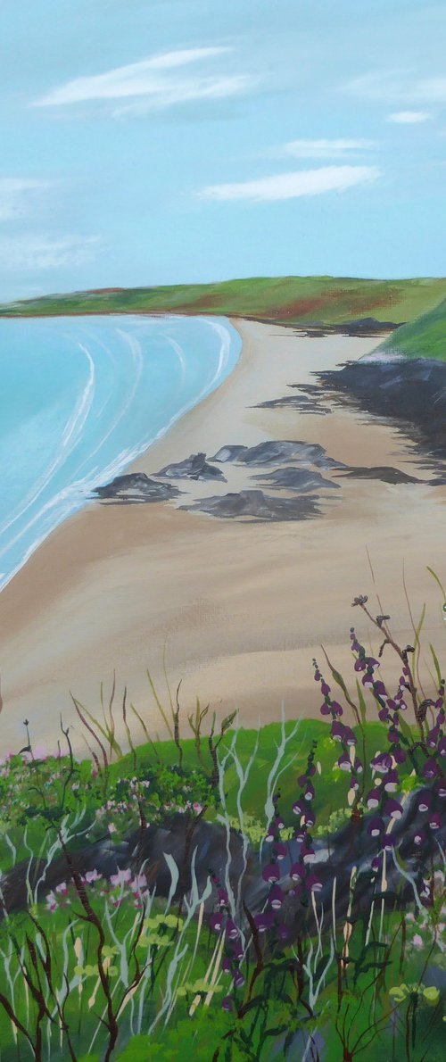 Whitsand, Cornwall by Elaine Allender
