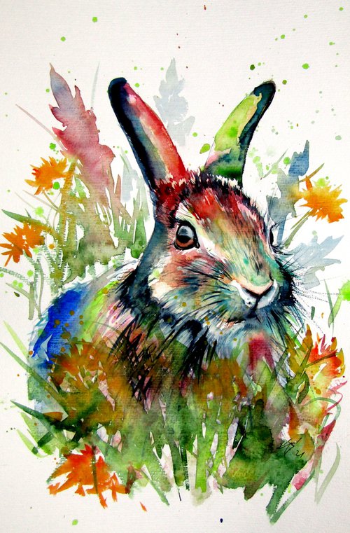 Rabbit in the grass by Kovács Anna Brigitta
