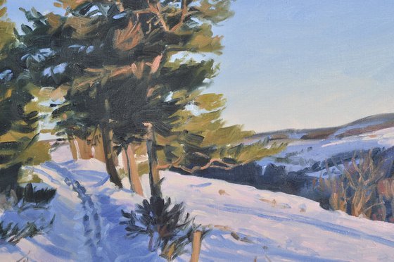 Snowy Path in Mézenc Massif