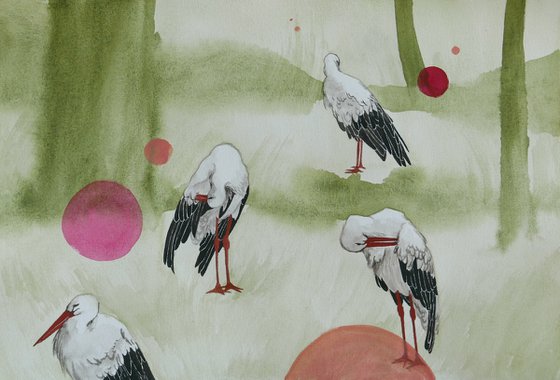 Storks in the Zoo