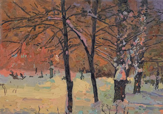 Winter night. Maryino