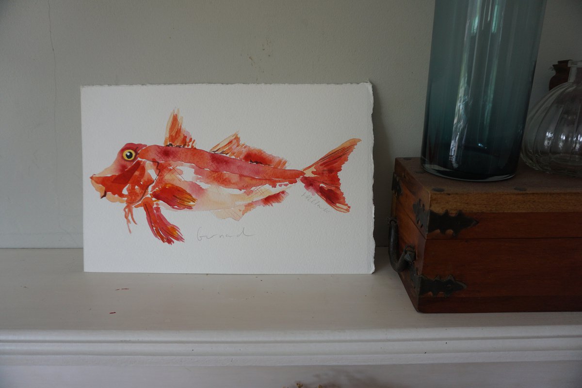 Gurnard fish by Hannah Clark