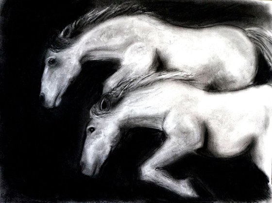 Two Horses Leaping