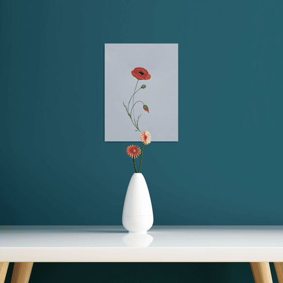 "Search for Peace" - Flower - Poppy