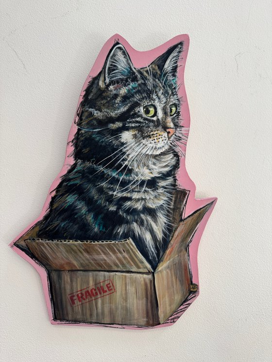 Cut In A Box Cutout #1