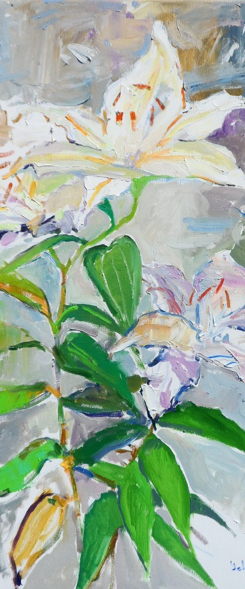 " Lily" by Yehor Dulin