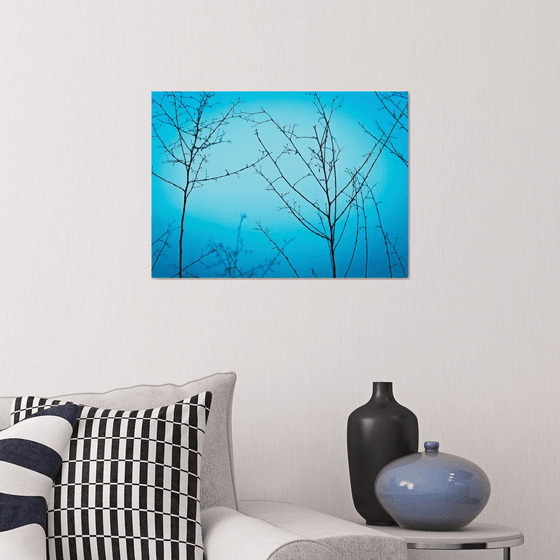 Twilight in the outdoors | Limited Edition Fine Art Print 1 of 10 | 45 x 30 cm
